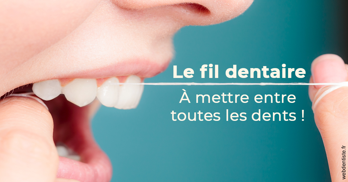 https://docteur-didier-colson.chirurgiens-dentistes.fr/Le fil dentaire 2