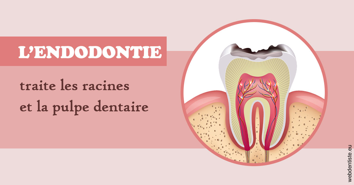 https://docteur-didier-colson.chirurgiens-dentistes.fr/L'endodontie 2