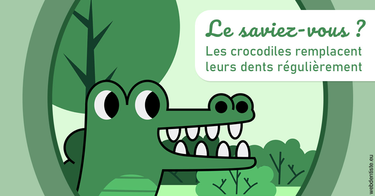 https://docteur-didier-colson.chirurgiens-dentistes.fr/Crocodiles 2